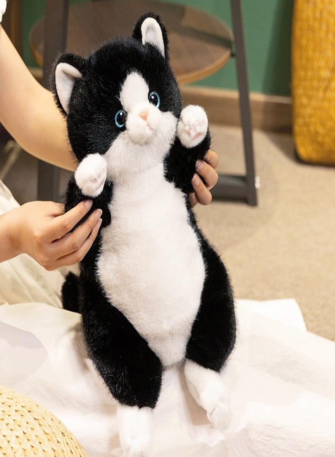 PEACH CAT قطة بيتش كات السوداء المحشوة، 14 بوصة، قطة صغيرة لطيفة، ألعاب قطيفة ناعمة، هدايا للأطفال - Image 2
